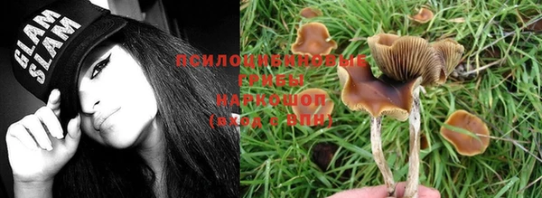 мяу мяу мука Алзамай