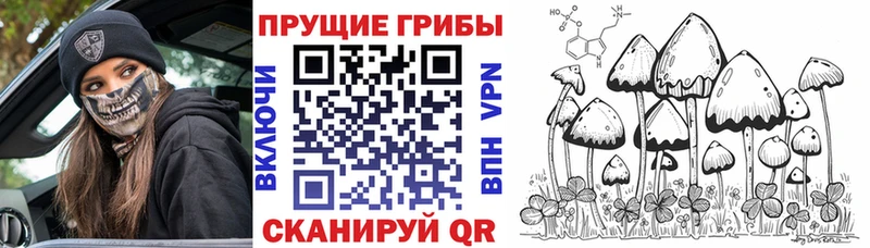 Псилоцибиновые грибы Psilocybe  гидра зеркало  Миньяр 